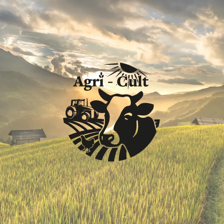 éléments graphiques