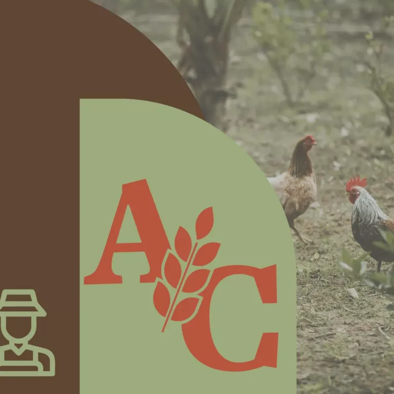 graphiste-lagardelle-sur-leze-creation-logowebp