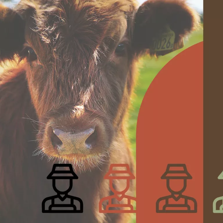 logo-identite-visuelle-branding-communication-muret-toulouse