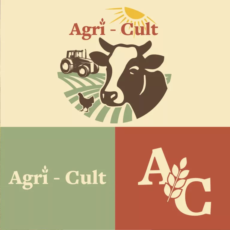 site-internet-sur-mesure-toulouse